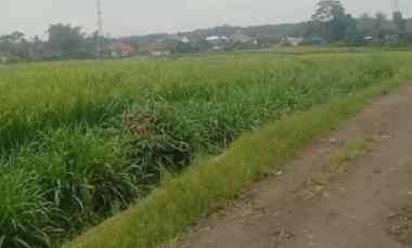 Dijual Tanah Sawah Pinggir jl Desa