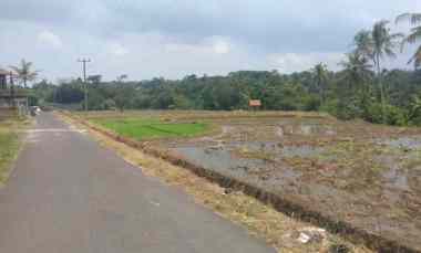 Dijual Tanah Sawah Pinggir jl Desa di Mandirancan