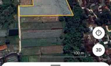 dijual tanah sawah widodomartani sleman yogyakarta