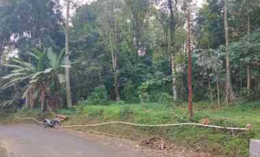 Tanah Dijual di Sayana kec. jalaksana kuningan