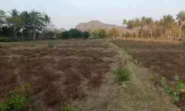 Dijual Tanah di dekat Tambang Amman Mineral Sekongkang Atas Sumbawa