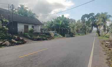 Tanah Dijual di Selabih, Tabanan, Bali