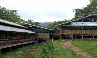 Tanah Cocok Peternakan, Kebun di Selawangi Tanjungsari Bogor