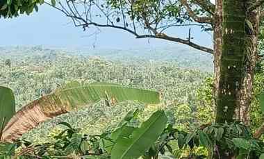 Tanah Dijual di Selemadeg Barat, Tabanan, Bali