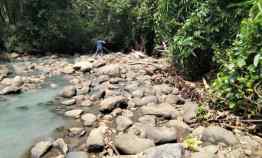 Tanah Dijual di Selemadeg Tabanan Bali