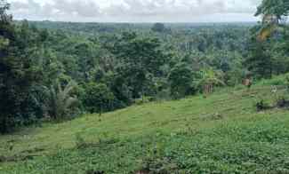 Tanah View Gunung dan Lembah dekat Villa di Tabanan Bali
