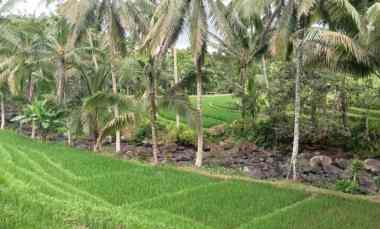 Tanah View Sawah dan Sungai dekat Villa Bali Lush dan Green Retreat