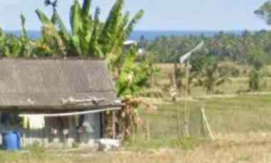 Tanah Dijual di Selemadeg Timur, Tabanan, Bali