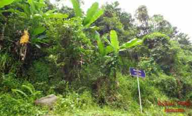 Dijual Tanah Seluas 137.876 m2 Seharga 5.82M - Lampung