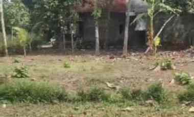 Tanah Dijual di Sendangrejo Minggir Sleman Yogyakarta