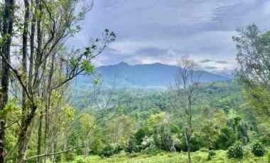 Tanah Dijual di serangpanjang