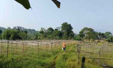 Dijual Tanah Shm Murah Ex Kebun Sayuran