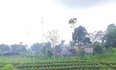 Tanah Dijual di Si Jalibar.