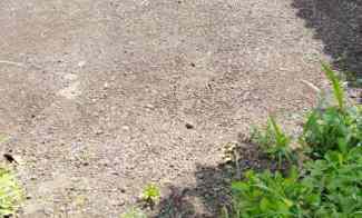 Dijual Tanah Siap Bangun Lokasi Strategis