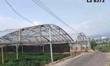 Tanah Luas Subur untuk Buah atau Sayur View Bagus Pegunungan di Batu