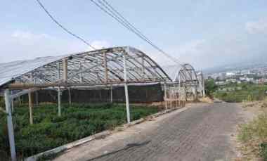 Tanah Dijual di Sidomulyo