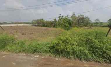 Tanah Luas Daerah Jetis Sidorejo Cocok untuk Lahan Parkir Truk