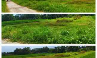 Tanah Jual BU Jual Cepat dekat Wisata Air 1200m2 Harga 300jt Polanharjo