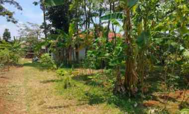 Dijual Murah Tanah Kebun di Beber Akses Jalan Bisa Masuk Mobil