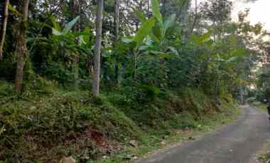 Dijual Tanah Kebun Ada Pohon Duren Cocok Buat Invest dll