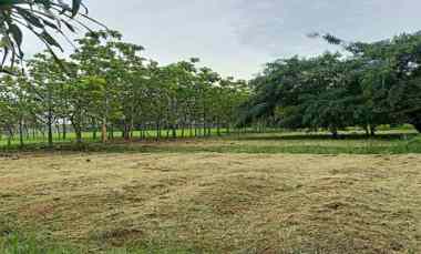 Tanah Dijual di Soekarno Hatta