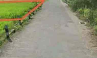 Jual Tanah Murah SHM. Sawah Produktif di Prambanan Sleman Yogyakarta