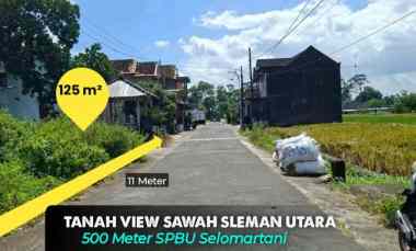Tanah Hook Tepi Aspal View Sawah di Kalasan, Selomartani