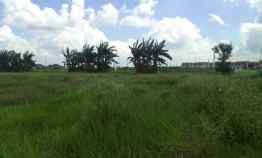 Dijual Tanah Kering 2,5ha di Sriamur,Gabus,Tambun Utara,Bekasi Kaba
