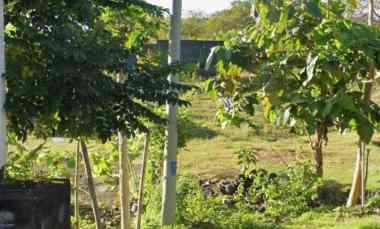 Dijual 27 are, jl. Palapa I Belakang STP Kampial Benoa Kuta Selatan