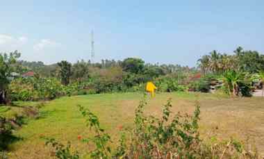 dijual tanah strategis dengan view sawah dan bukit