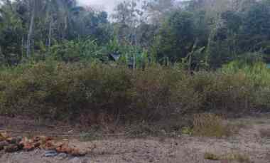 Dijual Tanah Strategis di Krembangan Panjatan