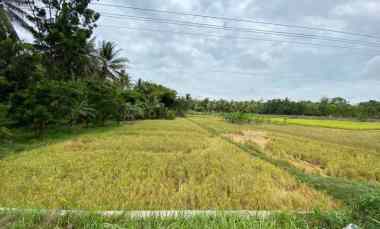 Tanah Dijual di Purworejo Jawa Tengah