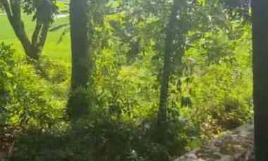 Tanah Dijual di Lokasi Caracas cilimus