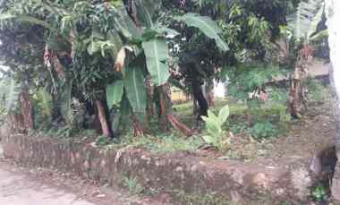 Tanah Dijual di desa ciwangi