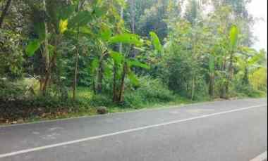 Tanah Dijual di Jalan raya mandirancan kuningan