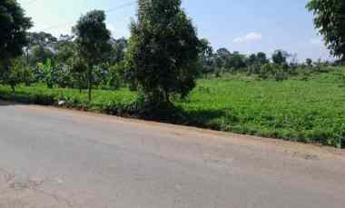 dijual tanah strategis pinggir jalan raya propinsi