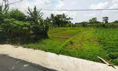 Dijual Tanah Strategis Pinggir jl View Gunung