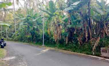 Tanah Dijual di Sayana jalaksana