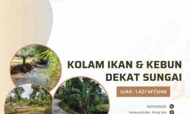Tanah Dijual di Subang