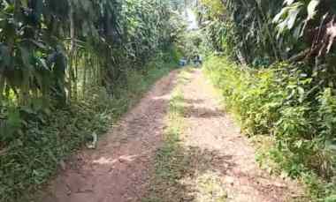 Tanah Dijual di Subang