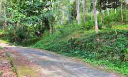 Dijual Tanah Subur 2 Hektar Kerjo Karanganyar