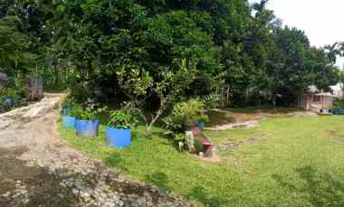 Dijual Tanah Villa Lokasi Desa Sukadamai Dramaga Bogor Jawa Barat