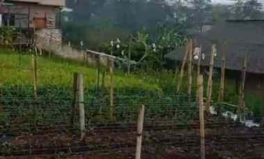 Murahhhh Tanah di Sukajaya Lembang, dekat dari Kol Masturi