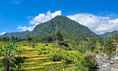 dijual tanah sukamakmur puncak dua