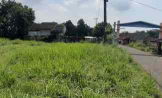 Tanah Dijual Murah Pinggir Jalan Raya dekat IPB dan Terminal Laladon