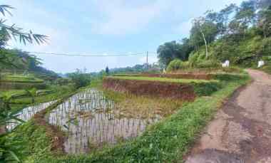 Jual Murah Tanah Sawah Pinggir Jalan Udara Dingin di Sumedang