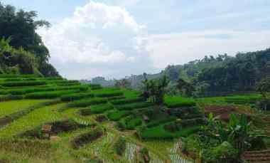 Jual Murah Tanah Sawah Pinggir Jalan Udara Dingin di Sumedang