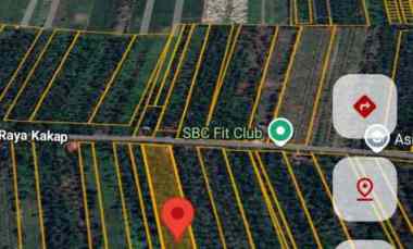 dijual tanah sungai belidak