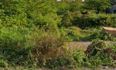 Dijual 9,7 are, jl. Mertasari Suwung Kangin Sesetan Denpasar