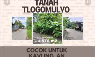 Dijual Tanah Tlogomulyo Cocok untuk Dibuat Kavlingan atau Rumah Cluste